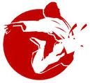 z logo2a